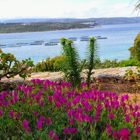 A Maredda - Location Vue A Pied Daire Bonifacio (Corsica)
